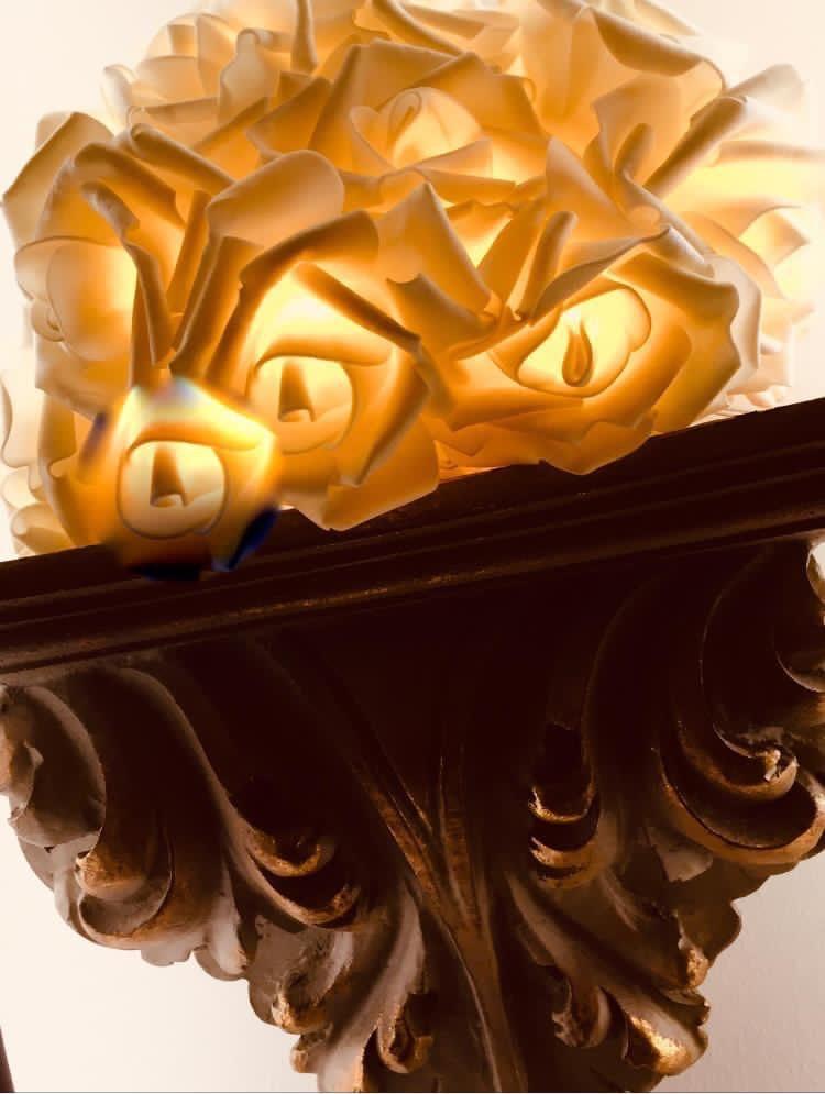 Buy ONLINE and enjoy