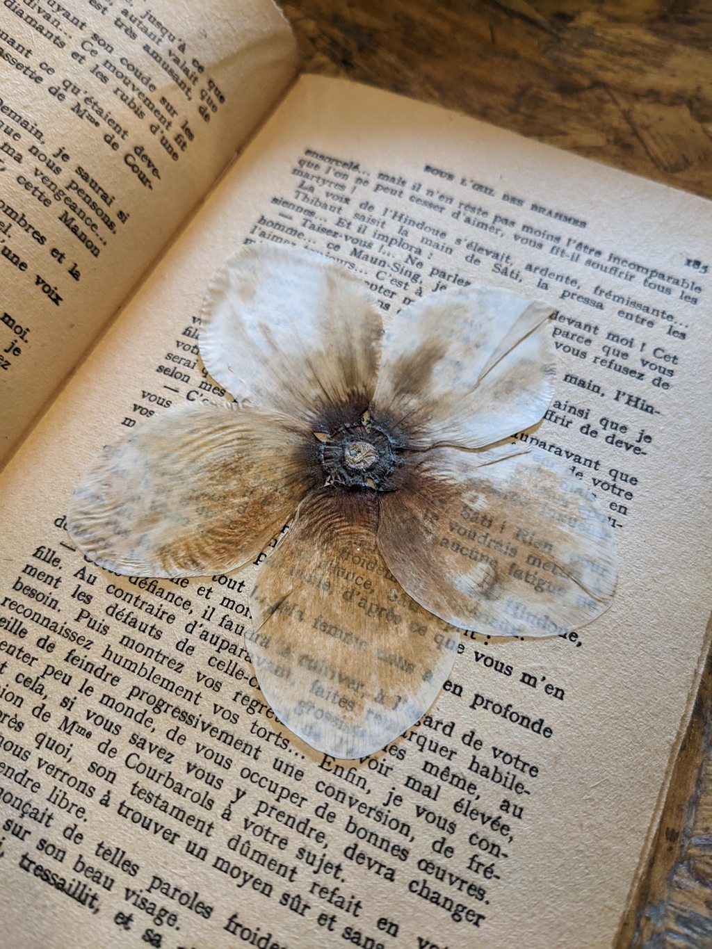 Univers bohème, désuet, florale,....