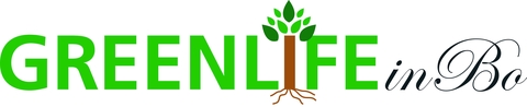store_logo