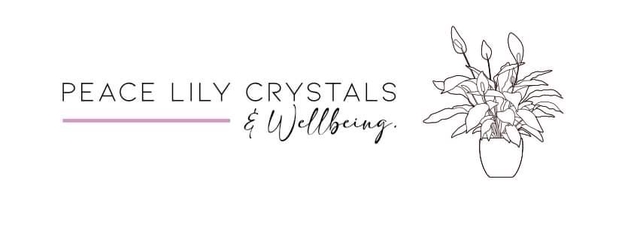 store_logo