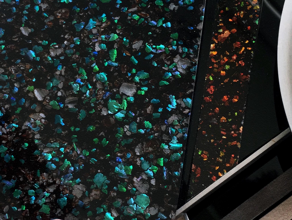 Fragments de Sternocera