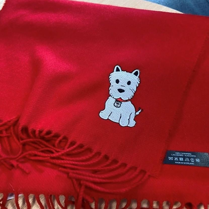 School Scarf