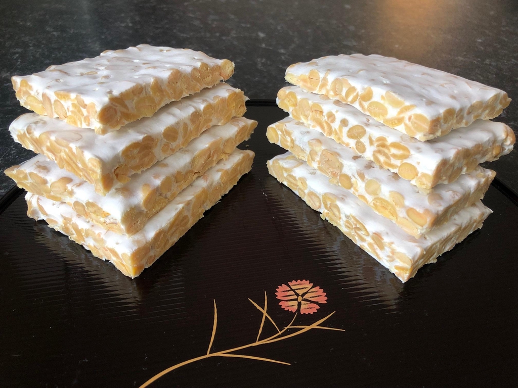 Local Fresh Organic Tempeh