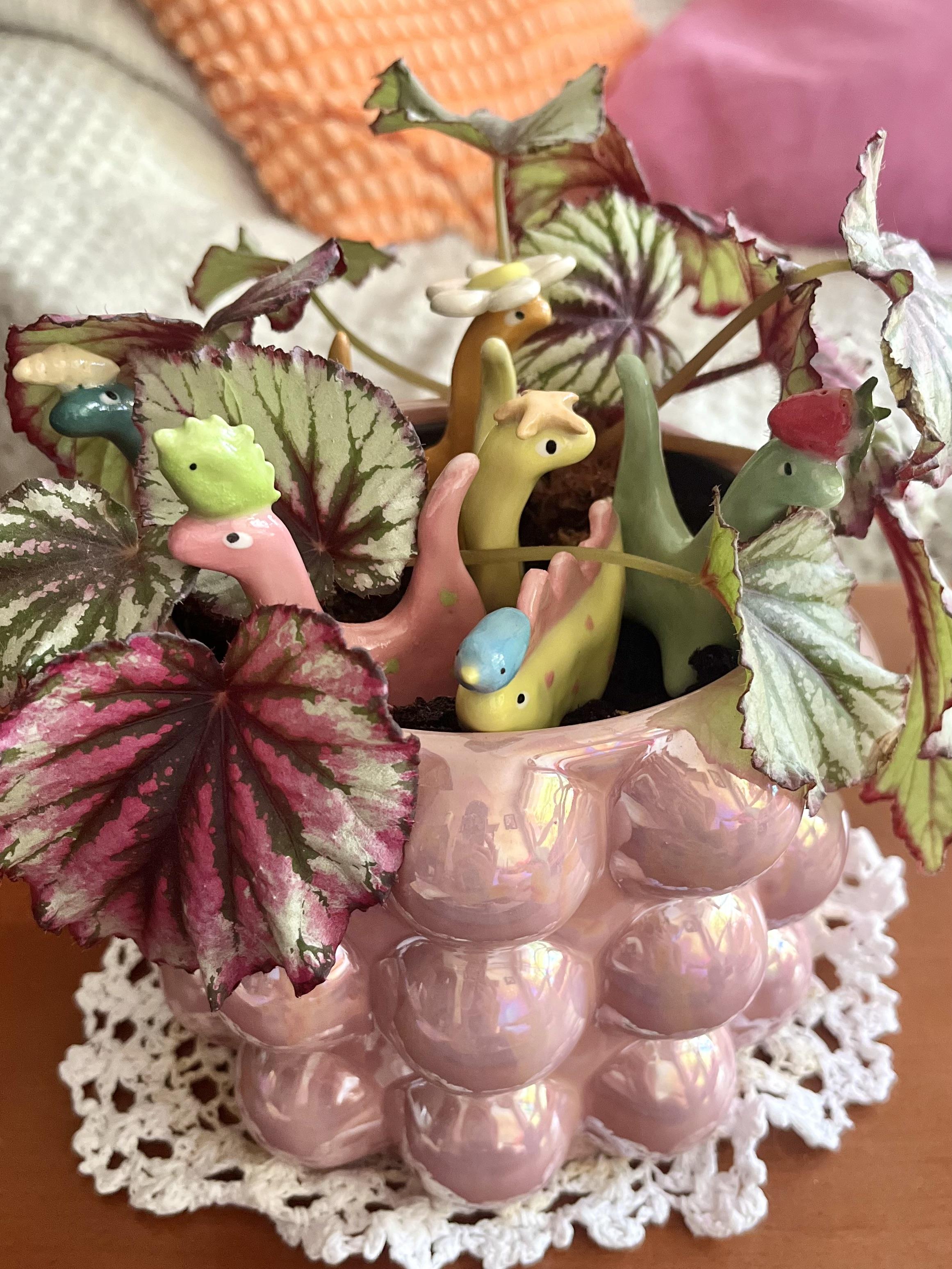 Dinos-chapos 🍓