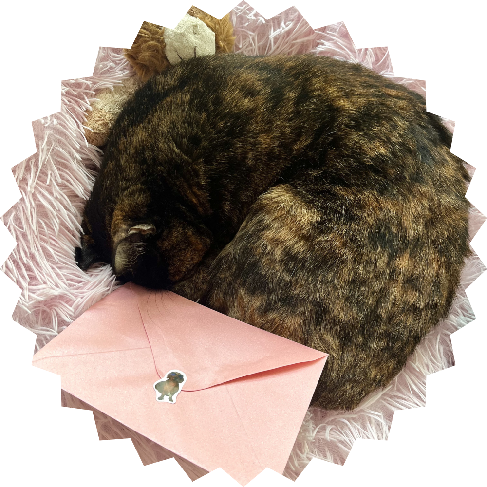 Newsletter