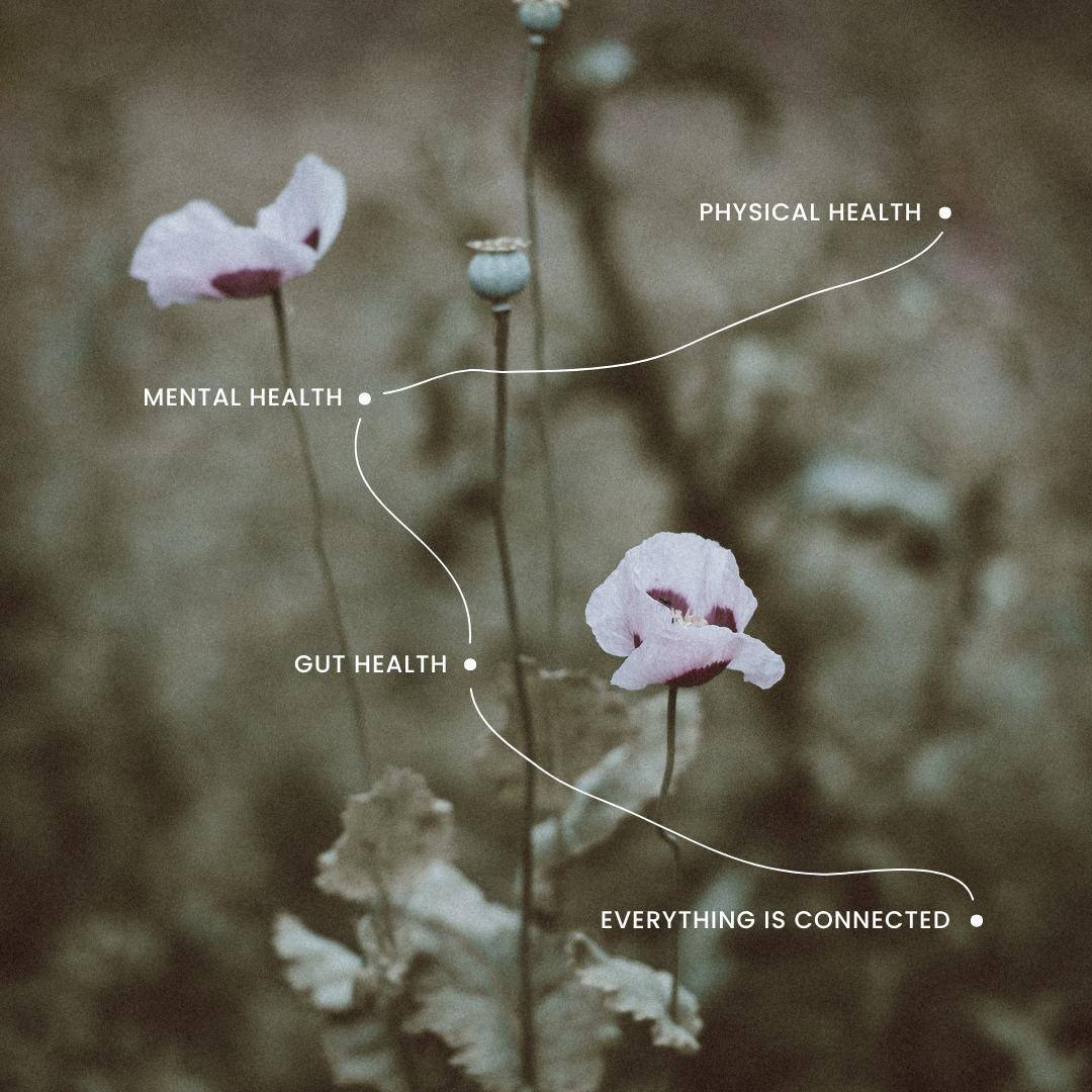 Acupuncture for women's health in Arundel West Sussex