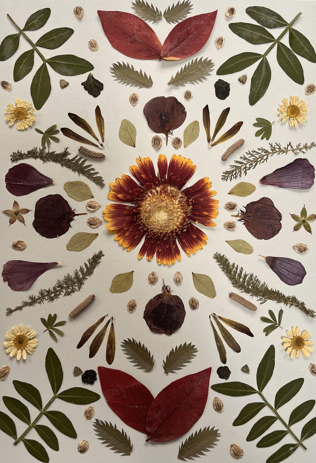 Unique Pressed Flower Framed Art