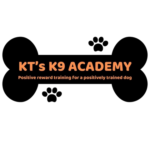For All Your Dog Training Needs