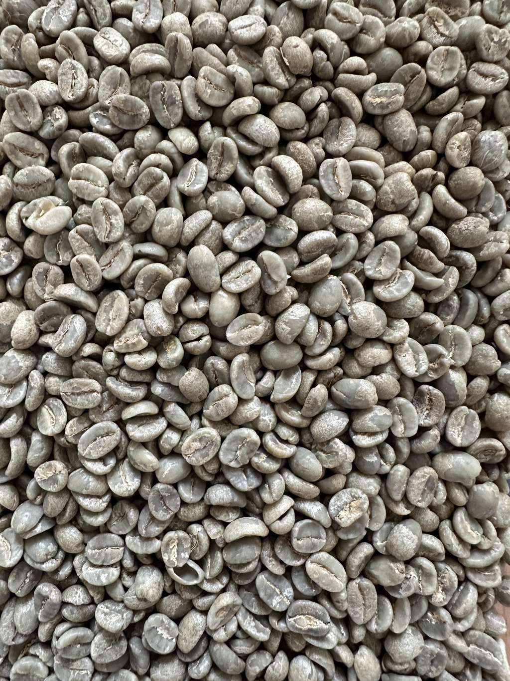 banner_image