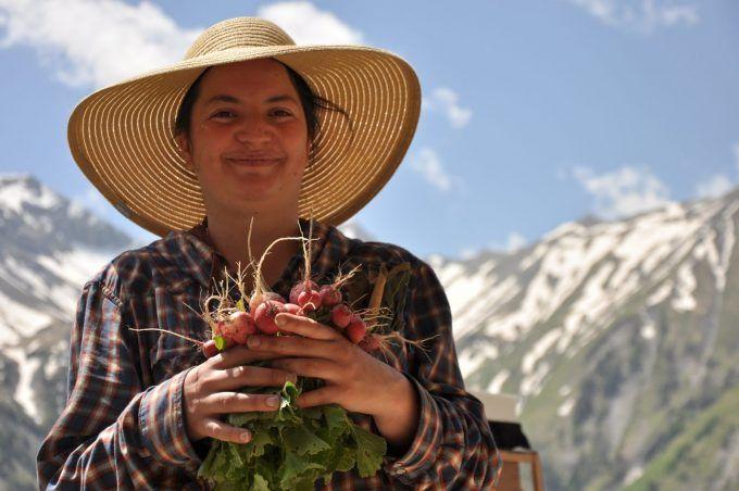 Cécile Andrieux - Productrice qui cultive, récolte, et transforme des plantes de montagne en liqueurs. Ferme du champ perché