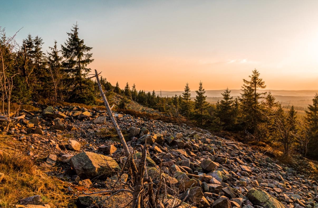 FEINSTE PRODUKTE
DER REGION
HERGESTELLT MIT
HAND UND HERZ