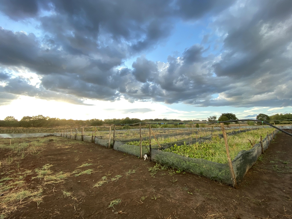 LA NATURA PENSA A TUTTI, NON HA GENERI NE’ PREGIUDIZI