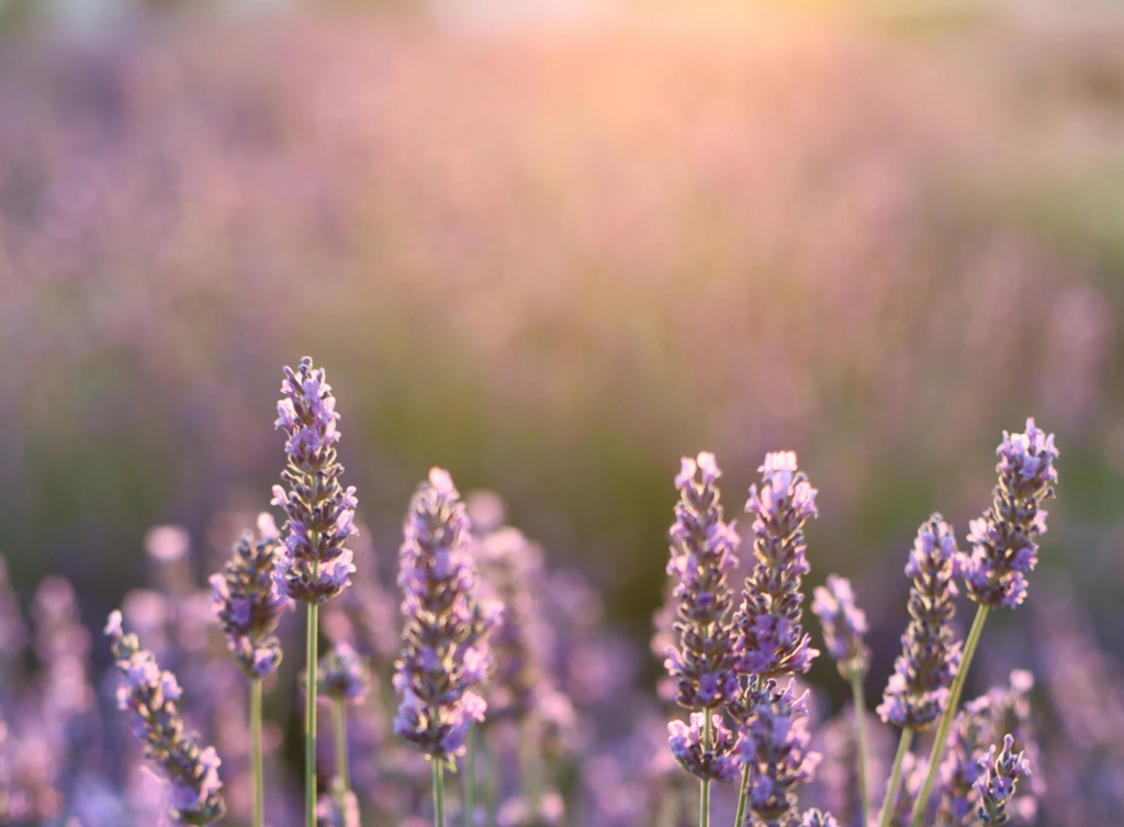 Des créations qui racontent votre histoire ♡