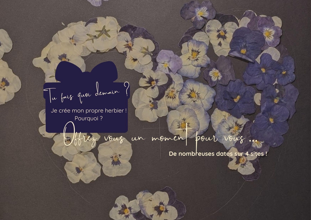 banner_image