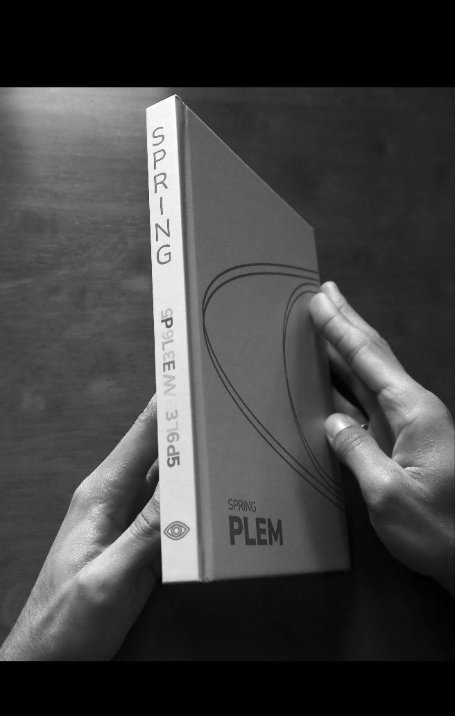 Tranche du livre SPRING — PLEM365, premier volume de la collection artistique illustrée