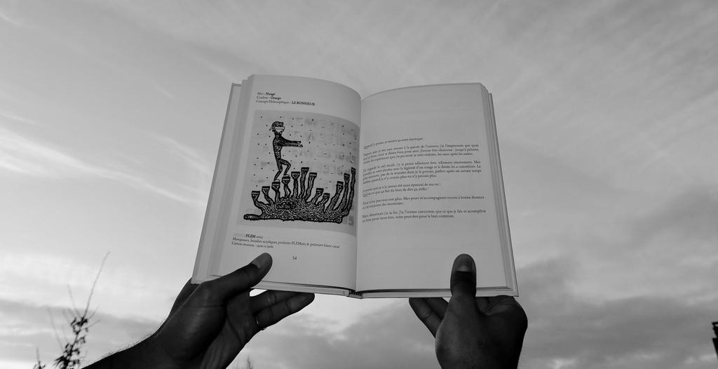 Présentation intérieure du livre SPRING — PLEM365, avec pages illustrées et textes originaux
