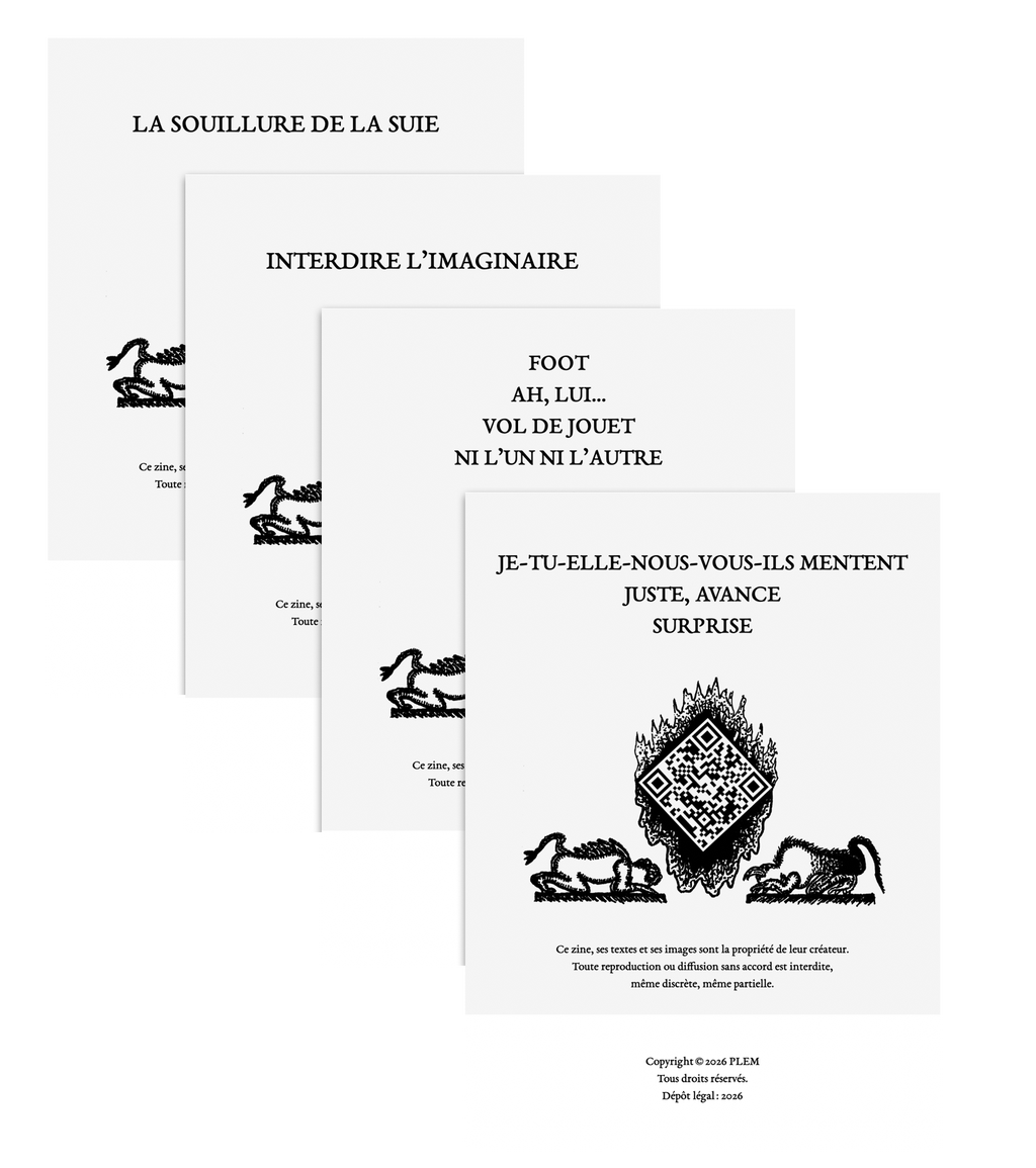 PLEM – Collection intégrale des zines français, vue des couvertures arrière, présentant l’ensemble des éditions dans une composition éditoriale sobre et cohérente