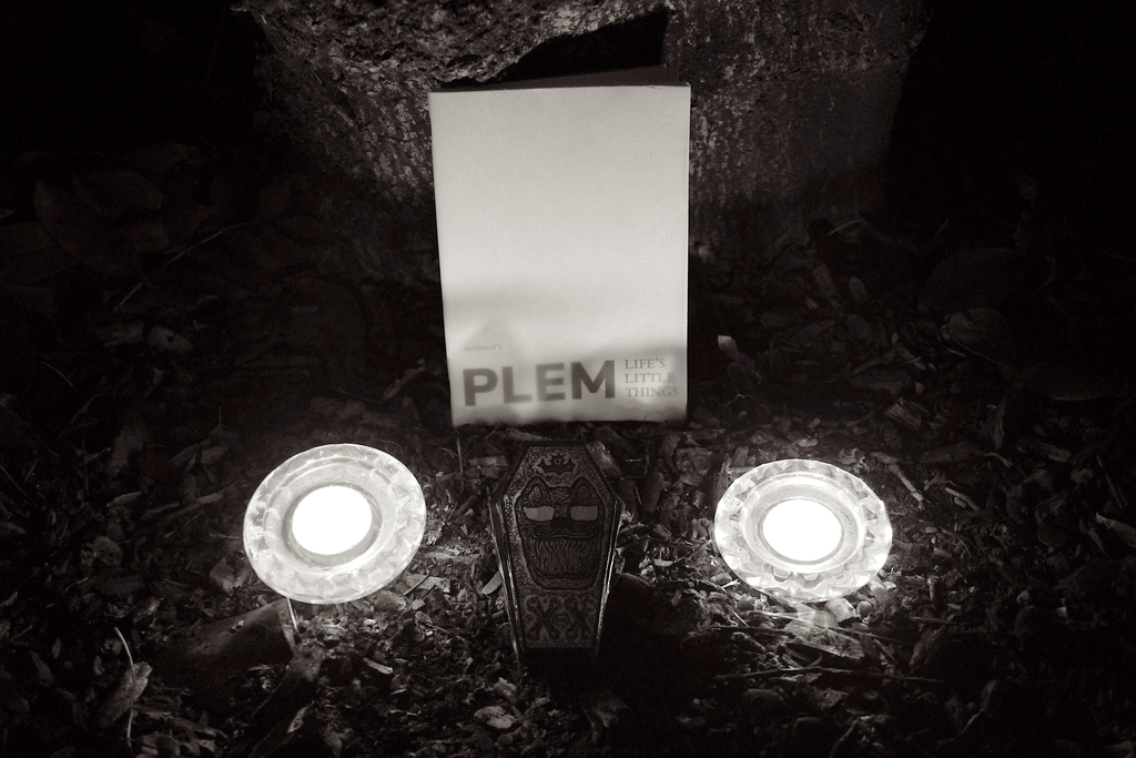 PLEM – Zine Archive n° 1, illustration d’un cercueil intitulée « Toy Theft », associant symbolisme, esthétique sombre et expression artistique dans l’univers singulier de PLEM