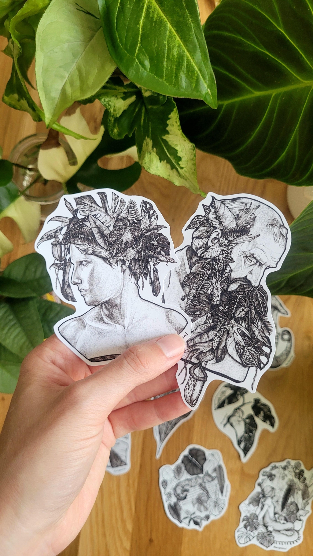 product_list_image_cover