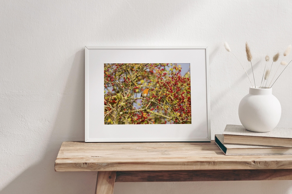 product_list_image_cover