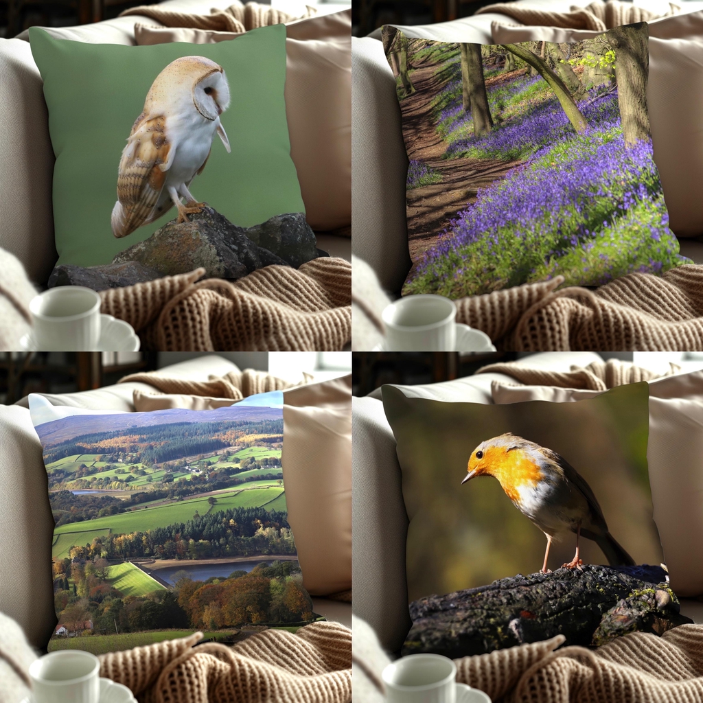 product_list_image_cover