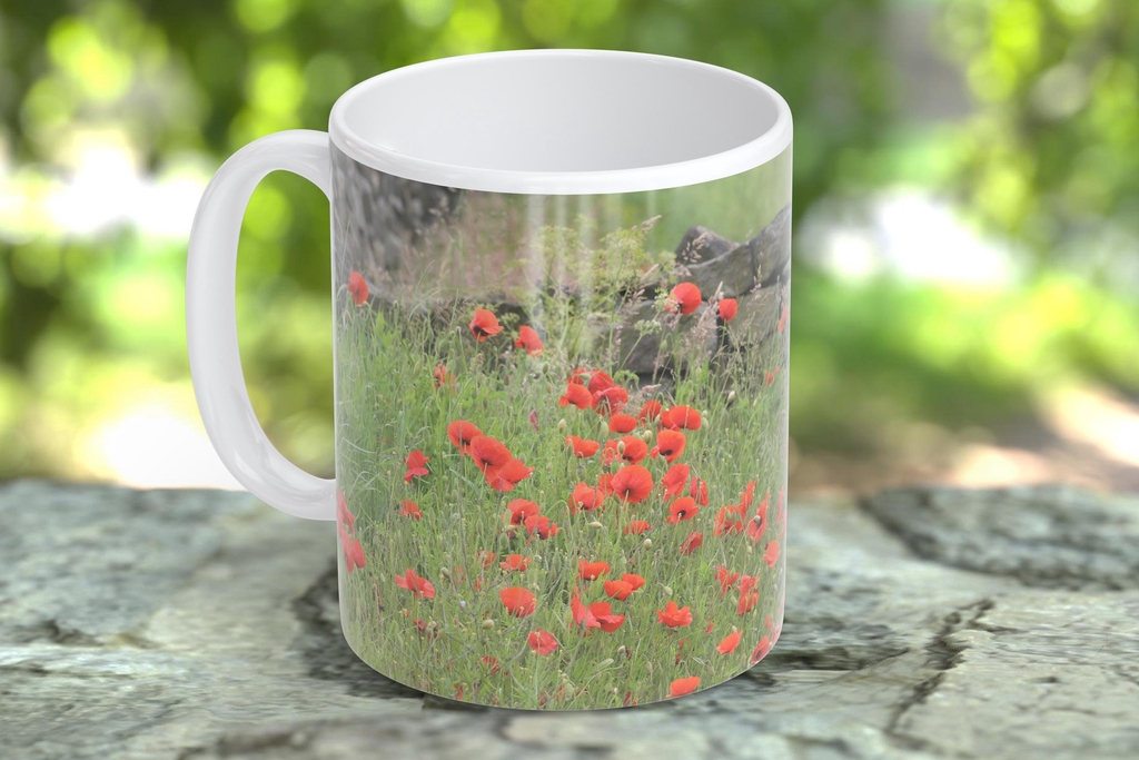 product_list_image_cover