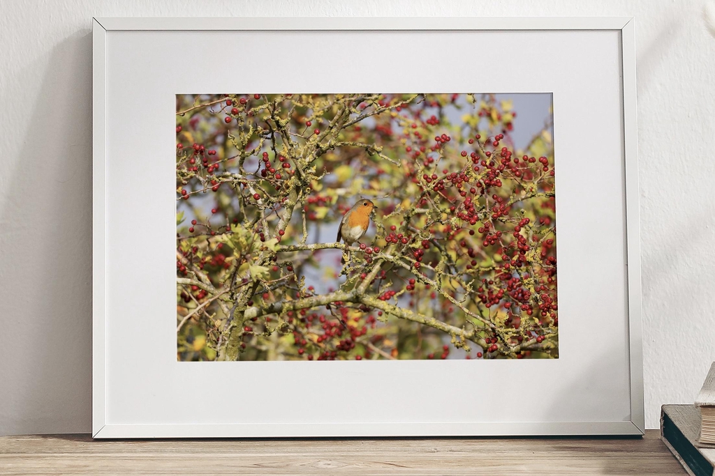 product_list_image_cover