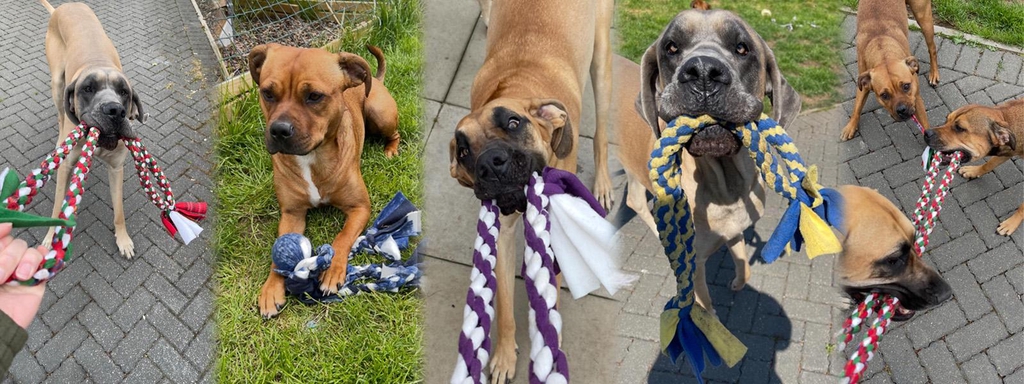 Ragnar's Tug of War