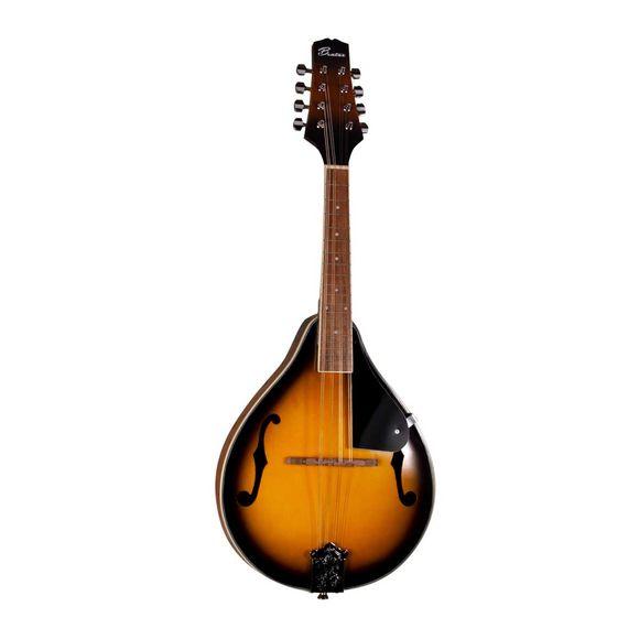 Mandolin