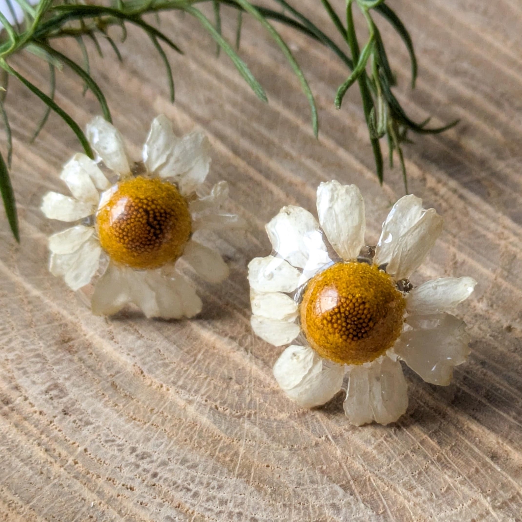 pendientes de resina de botón con margaritas naturales.