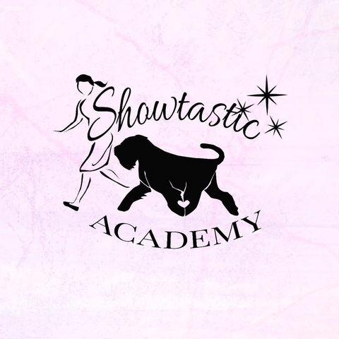 Show Academy Oy