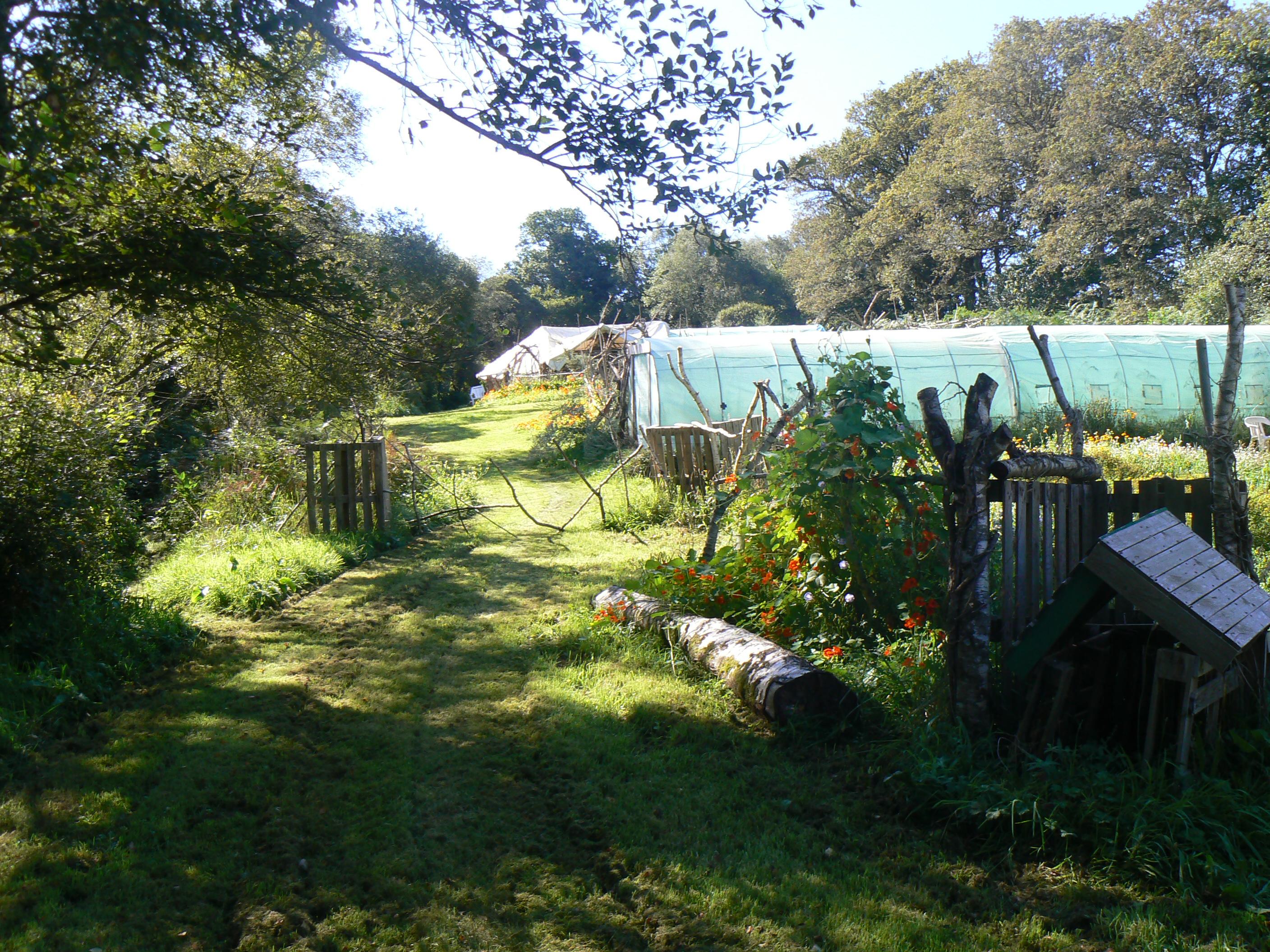 vue de notre champ-jardin