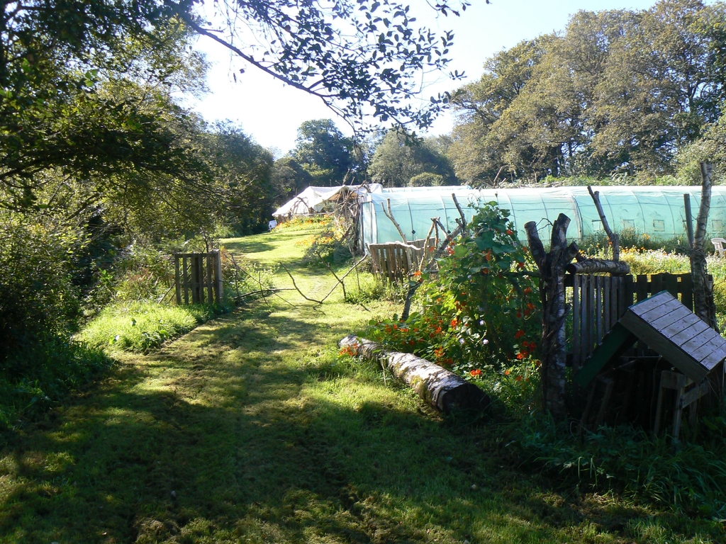 vue de notre champ-jardin
