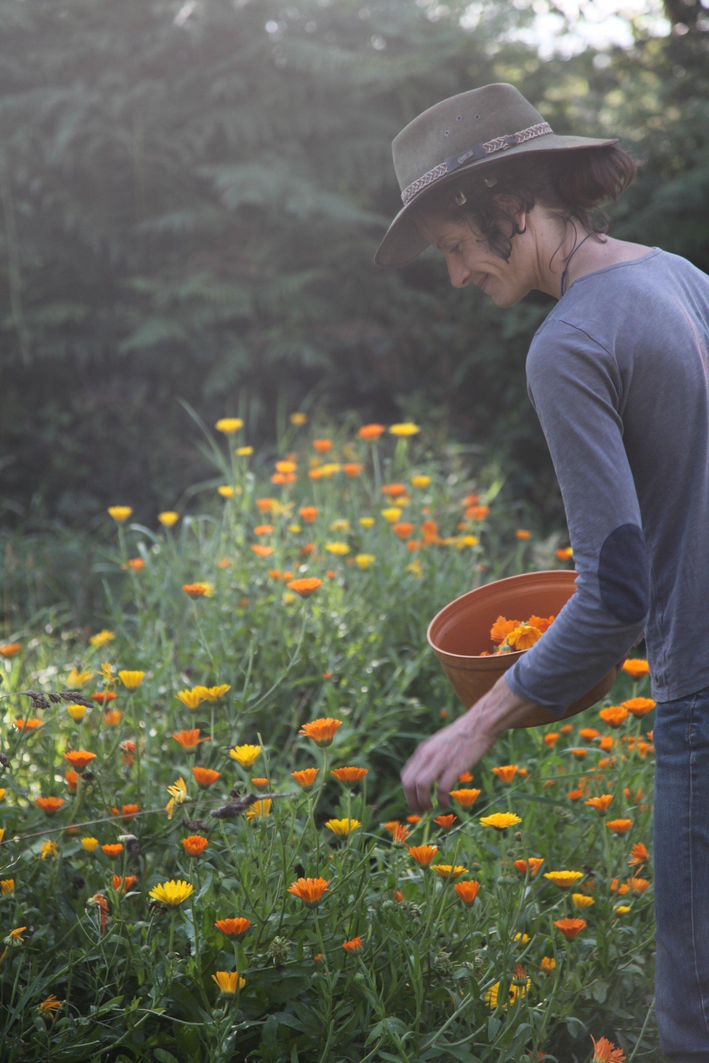 Myriam cueille des fleurs de calendula