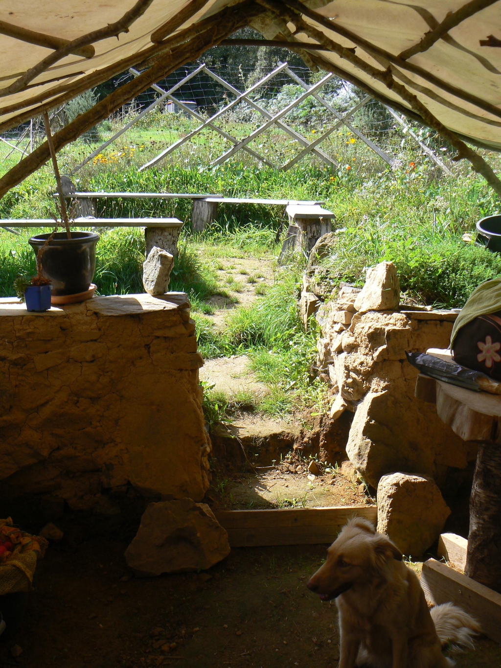 la salle café et les bancs