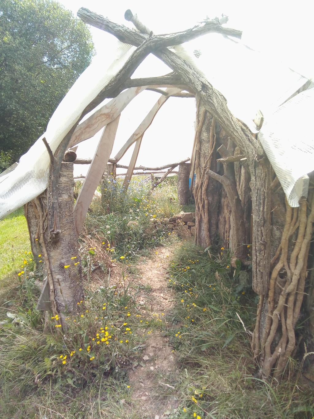 entrée de la salle café