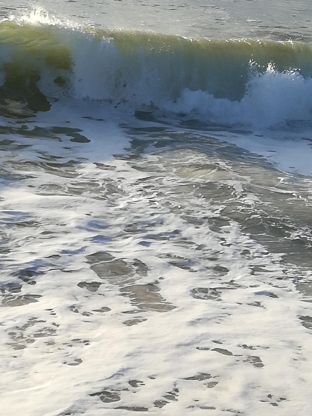 banner_image