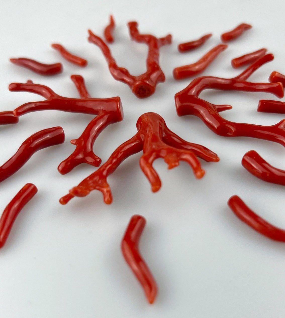 Corallo lavorazione mito amuleto gioielli corals waves