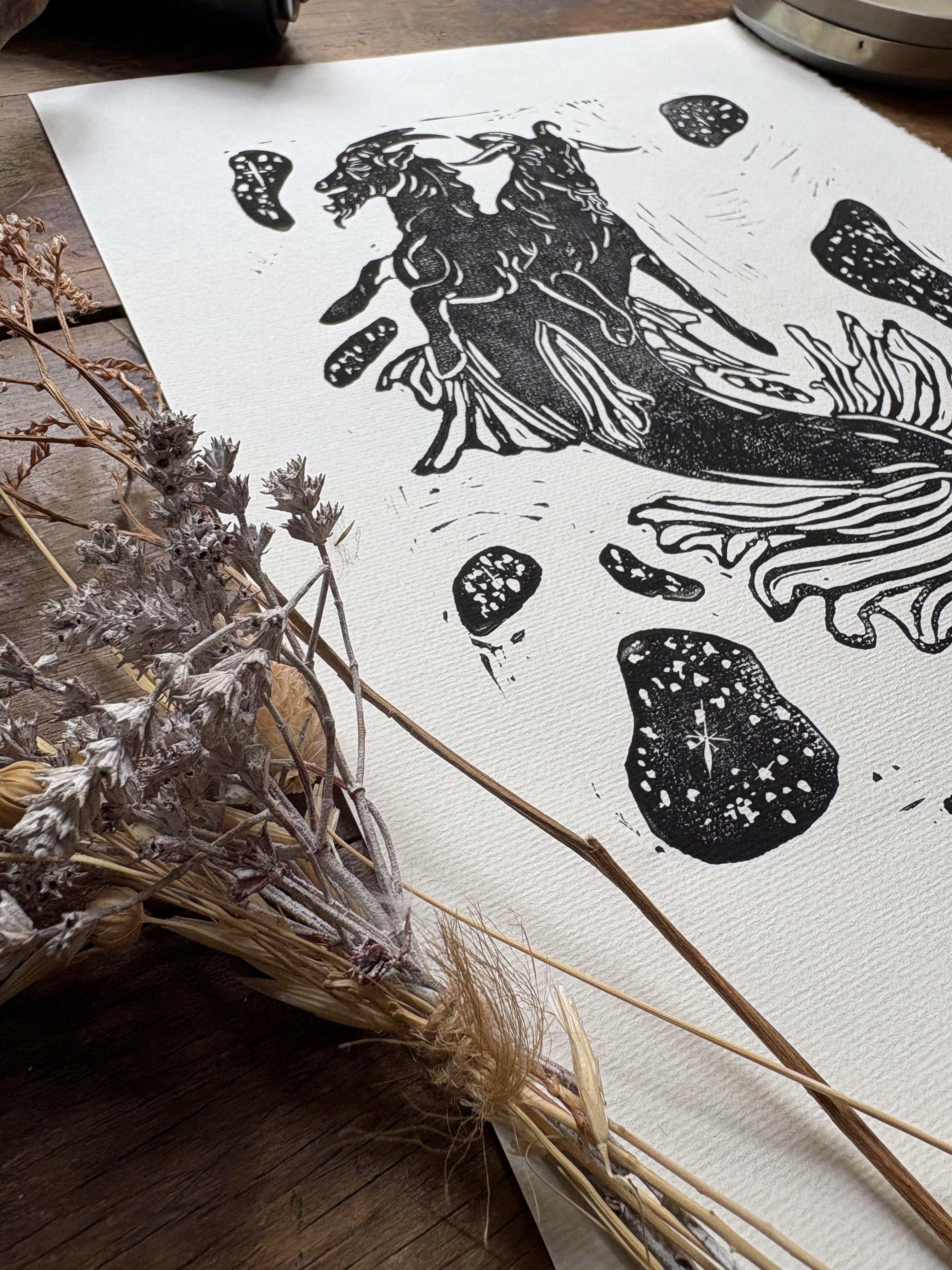 Duality of the Zodiac Lino