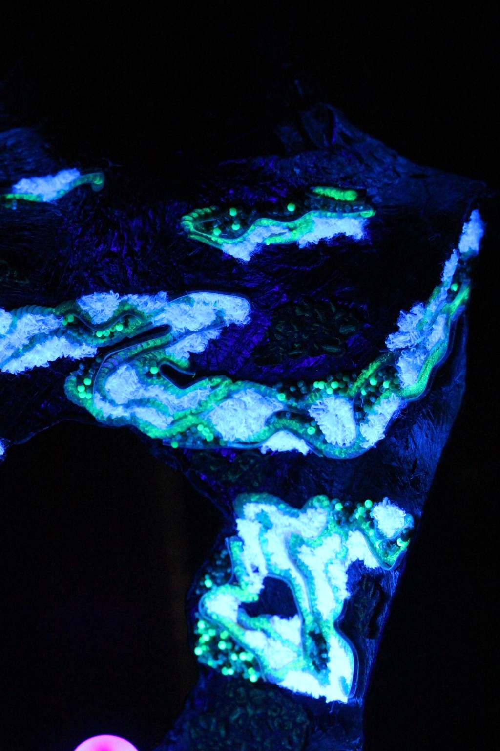 banner_image