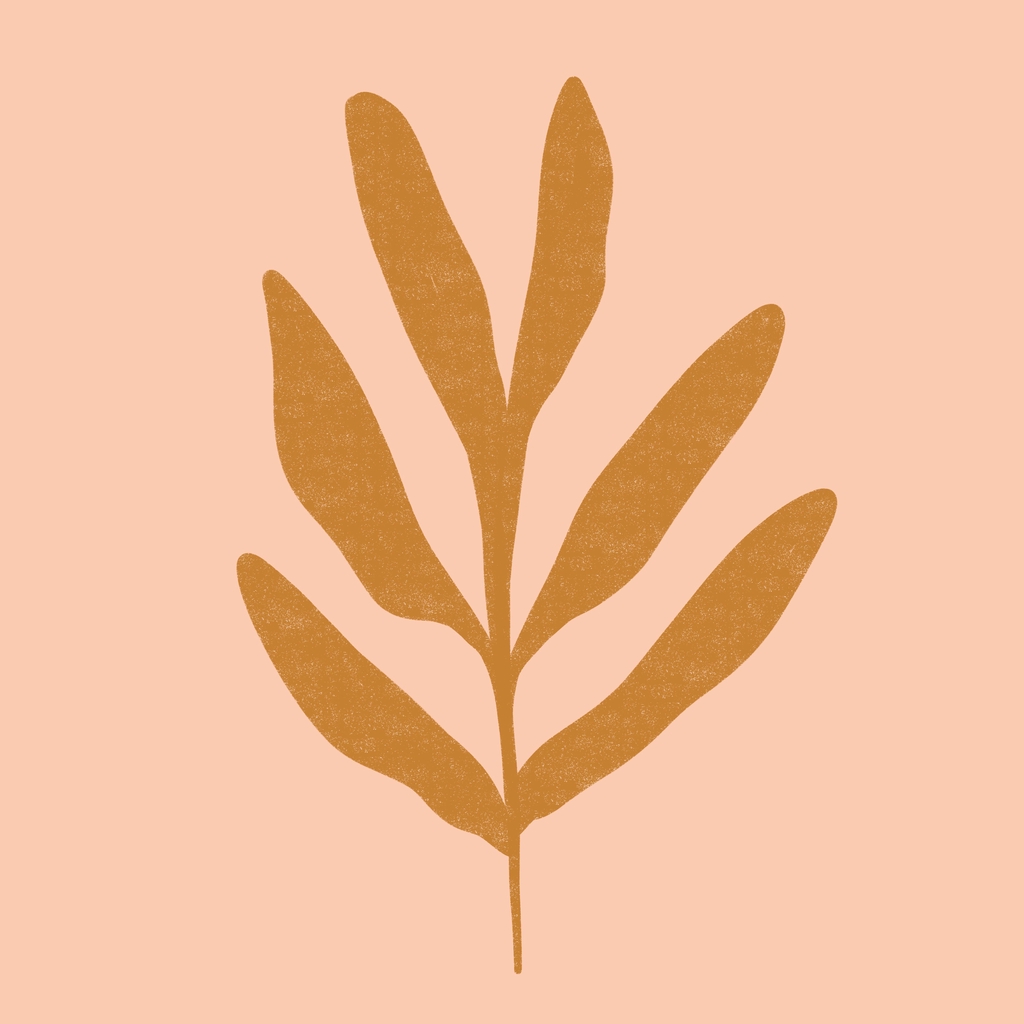 product_list_image_cover