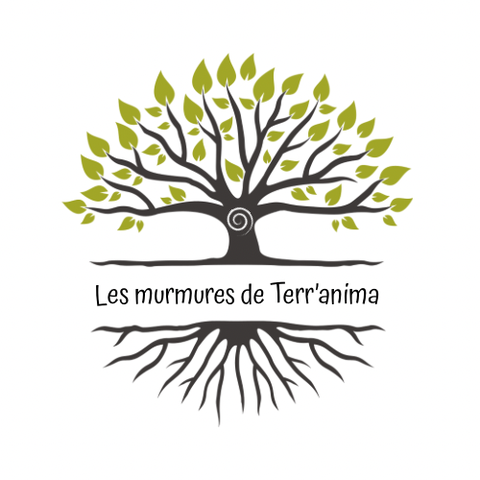 plantes, sons et traditions sacrées