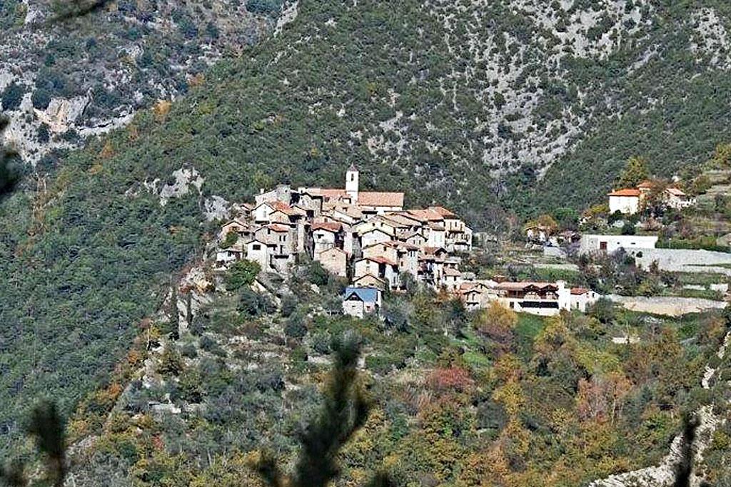 Section image
