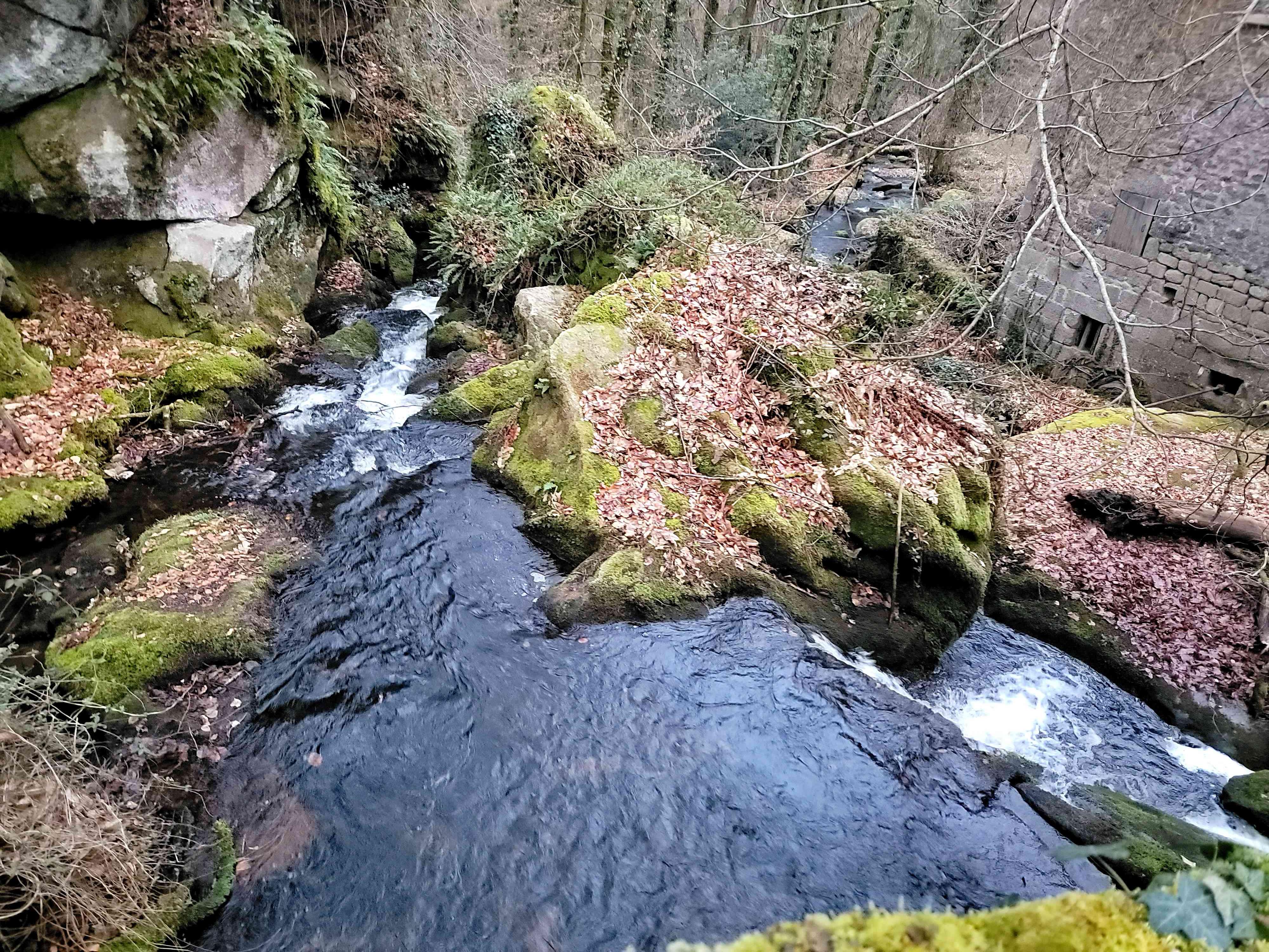 Section image