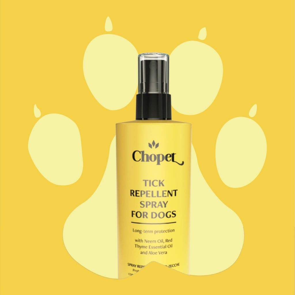 Pet Care Products — Grooming, Health & Accessories | Sufajo Gifts Collection

Discover our range of pet care products designed for your furry friends. Grooming essentials, health supplements, and fun accessories keep pets happy, healthy, and stylish.

