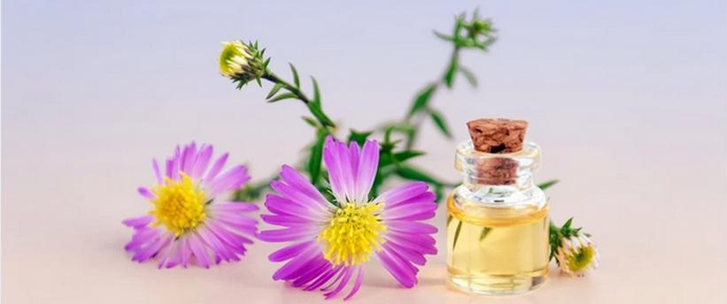 Les ateliers Cosmétik' et Sens