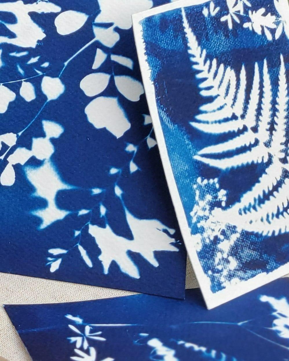 Cyanotypes