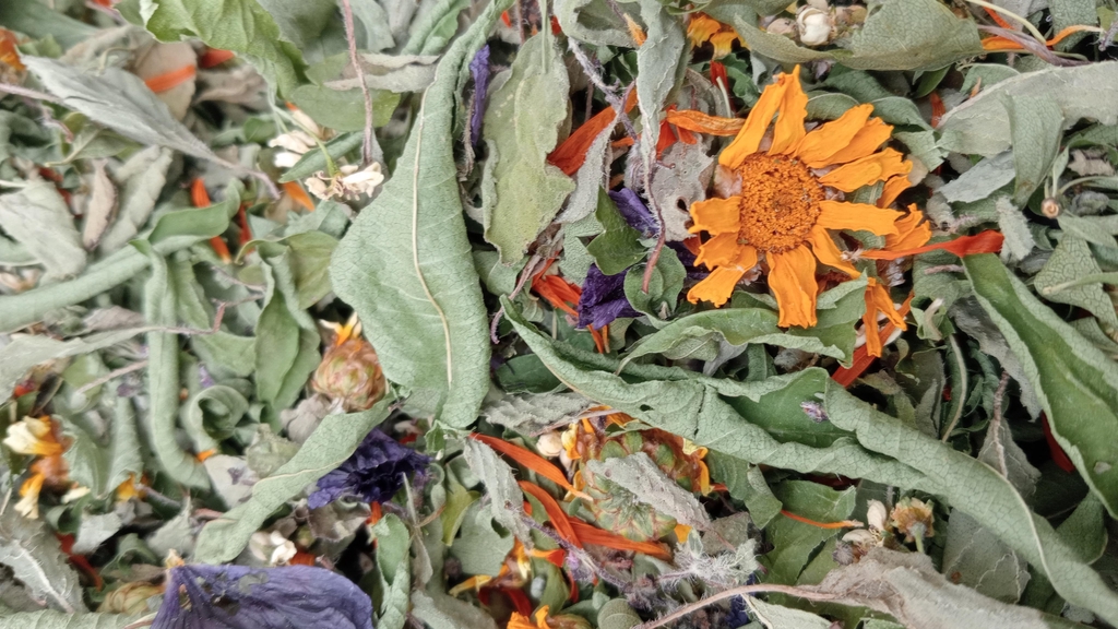 product_list_image_cover