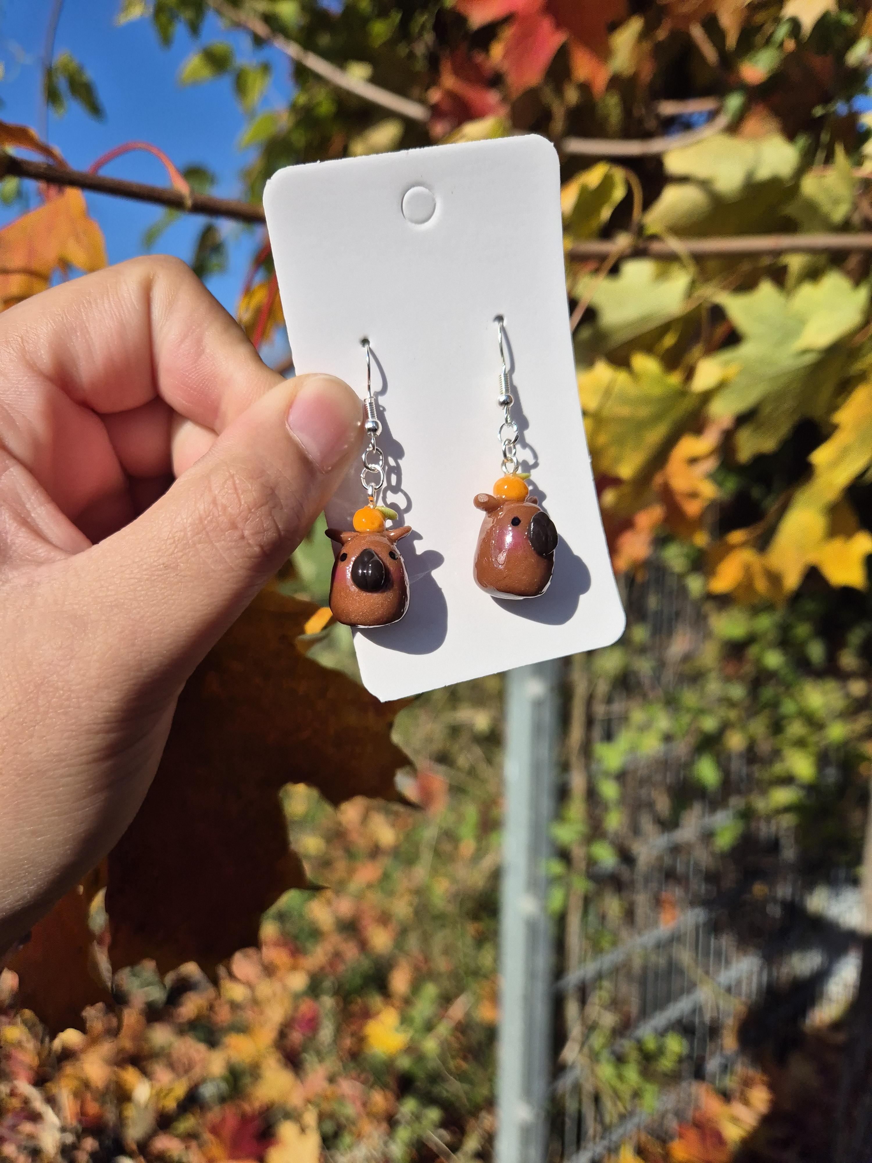 Earrings