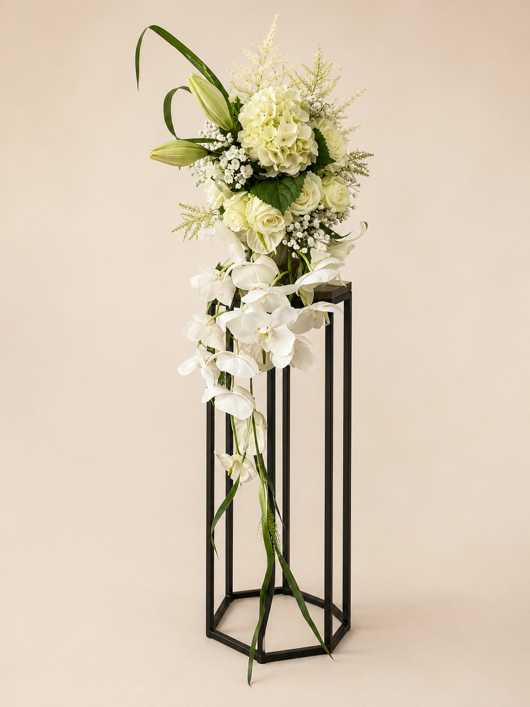 Nos compositions & Bouquets